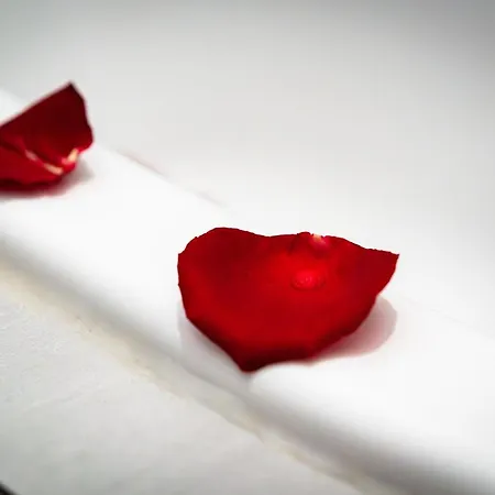 شقة Emperors Elegance *